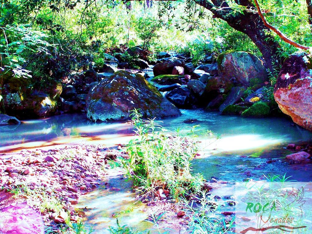 Rocavenados Villa Mascota Esterno foto